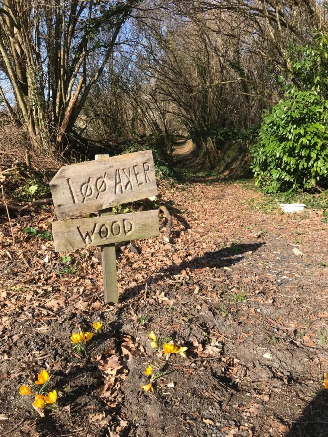 Les Ombrieres Bed & Breakfast Porcheresse Bagian luar foto